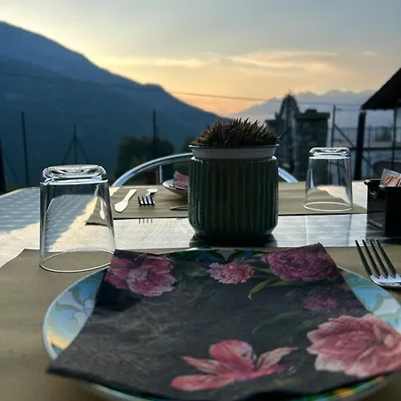 Arlette D'hotes 기그노드